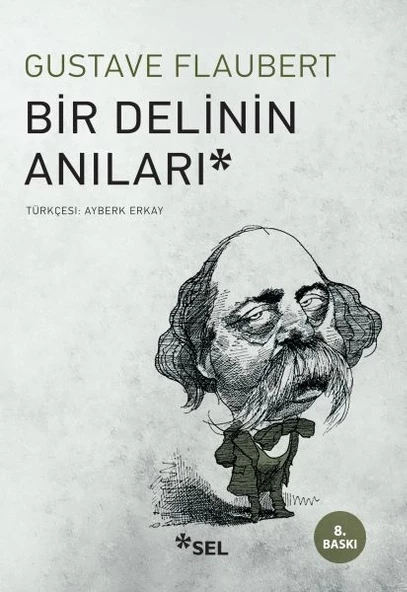 Bir Delinin Anıları ürün görseli 1