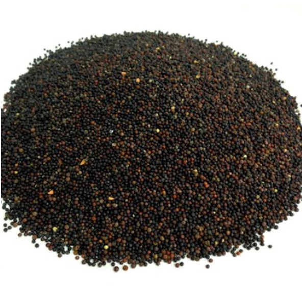 Siyah Hardal Tohumu Tane 50 gr - Resim 2