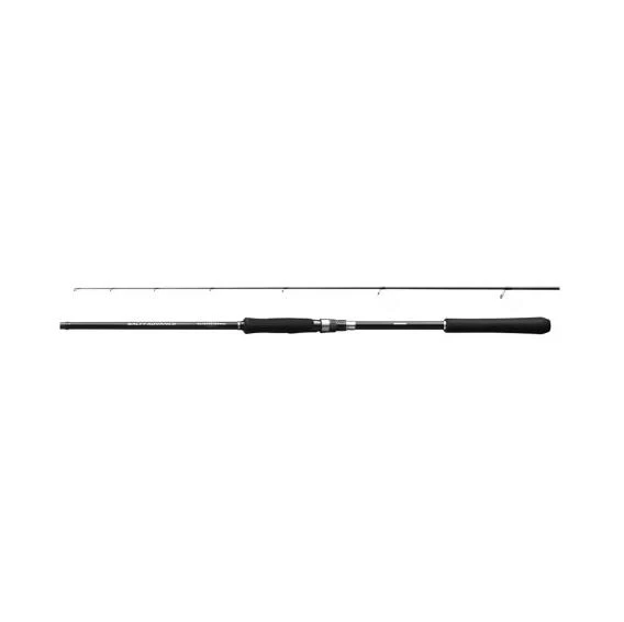 Rod Salty Advance Spinning SeaBass2,74m 9'0''6-32g ürün görseli 1