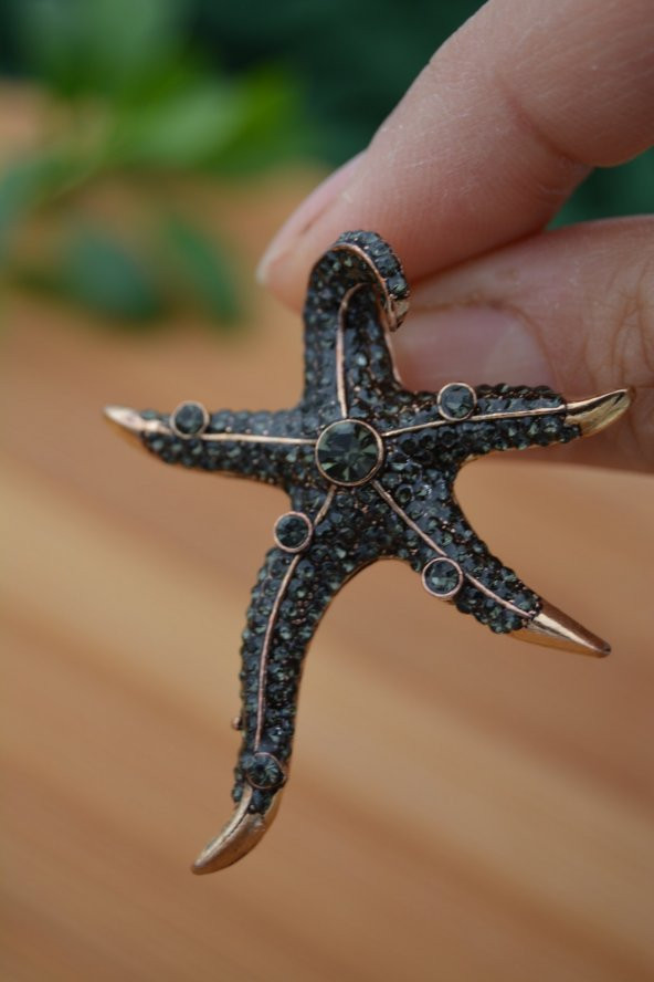 STONEAGE Deniz Yıldızı Zirkon Taşlı Bayan Küpe Madeni Bronz ürün görseli 1