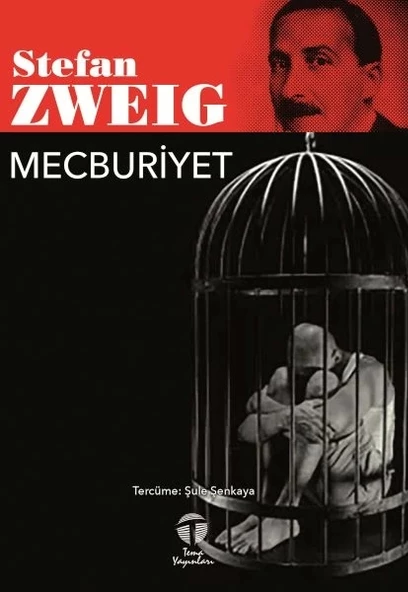 Mecburiyet ürün görseli 1