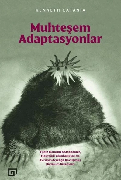 Muhteşem Adaptasyonlar ürün görseli 1