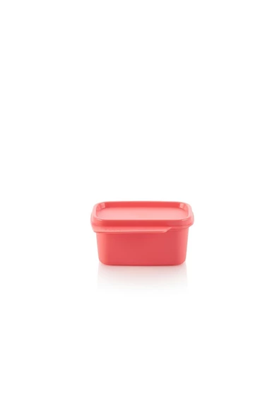 Kare Saklama 160ml Yavru Ağzı - Resim 2