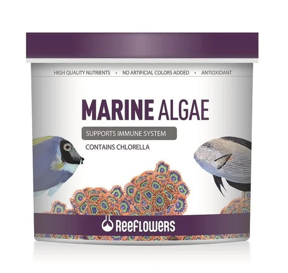 Reeflowers Marine Algae 100 gr Özel Poşette (Açık) Yem Skt: 06/2027 ürün görseli 1