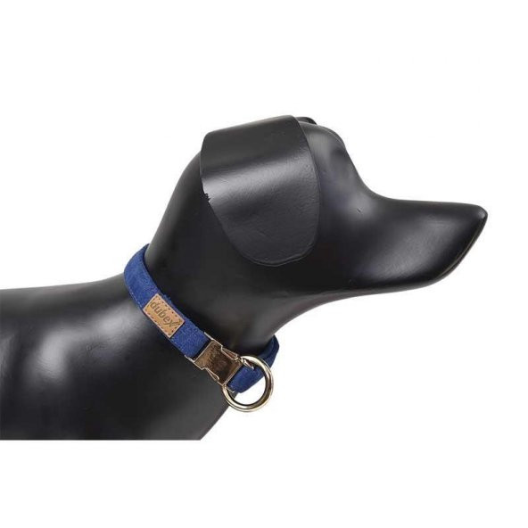 Dubex G-Dog Köpek Boyun Tasması Saks Mavi S-M ürün görseli 1
