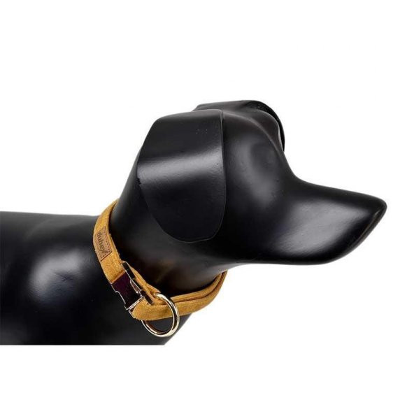 Dubex G-Dog Köpek Boyun Tasması Sarı S-M ürün görseli 1