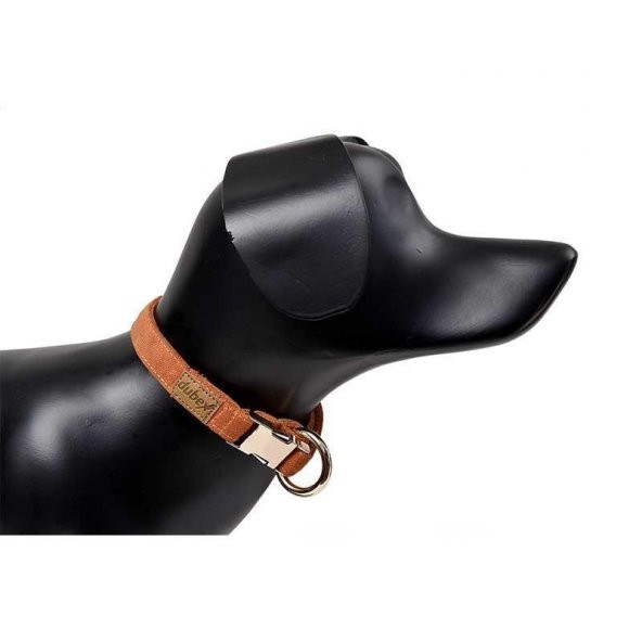 Dubex G-Dog Köpek Boyun Tasması Turuncu XS-S ürün görseli 1