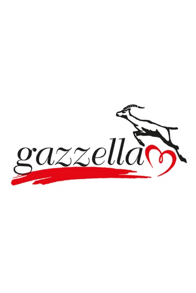 Gazella Süper Mini 2030 Buhar Jeneratörlü Ütü - Resim 2