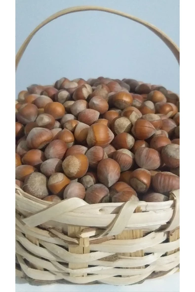 güvenpro FINDIK KABUKLU FINDIK 1 KG - Resim 2