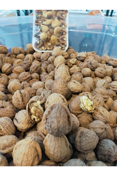 Elisanın köy evi Kabuklu Ceviz 1kg ürün görseli 1