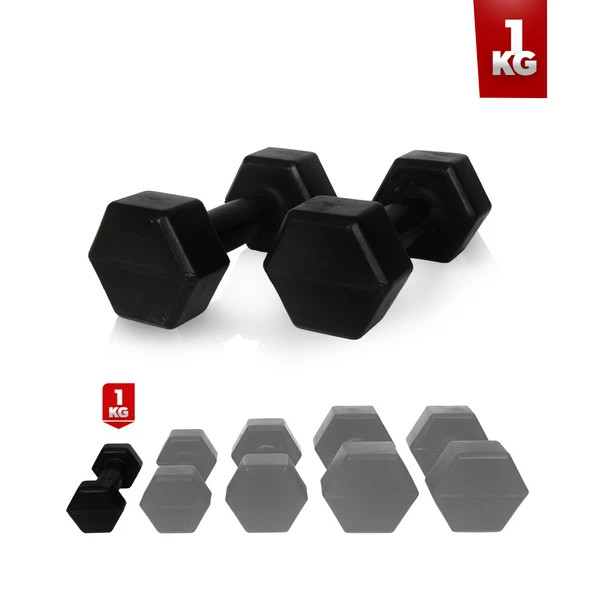 1 kg Dambıl Seti 2x1 kg Dambıl (Demir Tozu Dolum) ürün görseli 1