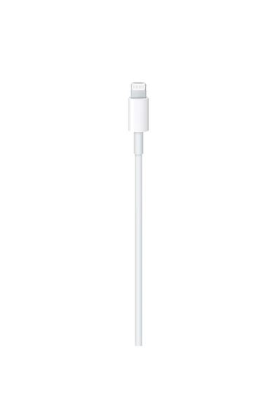 Apple USB-C - Lightning Kablosu MUQ93ZM/A (1 m) - Resim 2