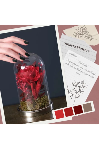 Smarta ™ Modelleme Hamuru 100gr - Kırmızı - Resim 4