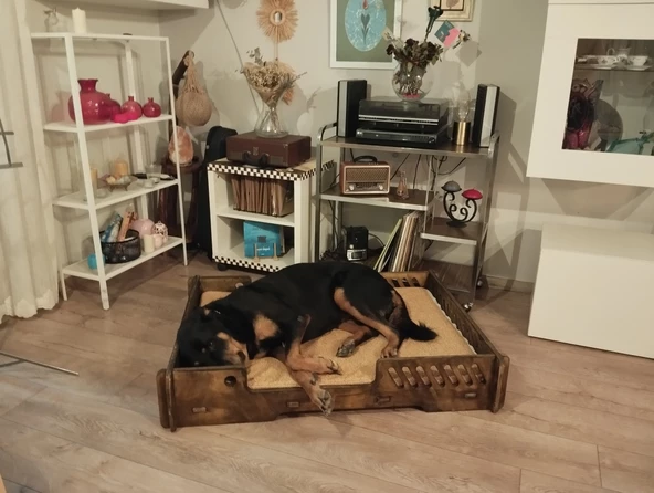 ED PET DİZAYN Bilbao Kedi Köpek Yatağı 70x100 Ceviz Renk.18 mm Kontroplak Şık Tasarım ürün görseli 1