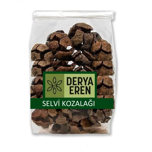 Selvi (Servi) Kozalağı 100 gr, Derya Eren ürün görseli 1