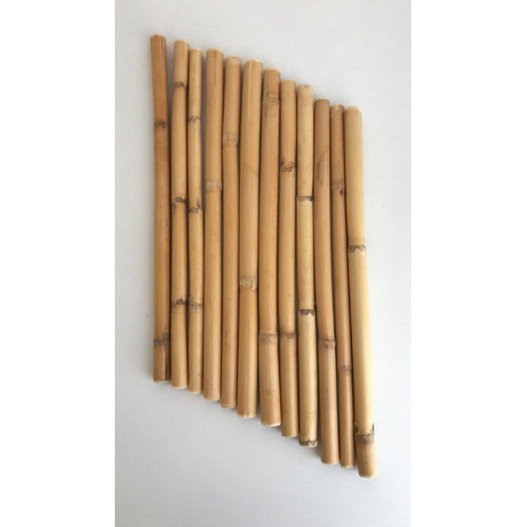 Bambu 10 Cm 12 li Paket - Resim 4
