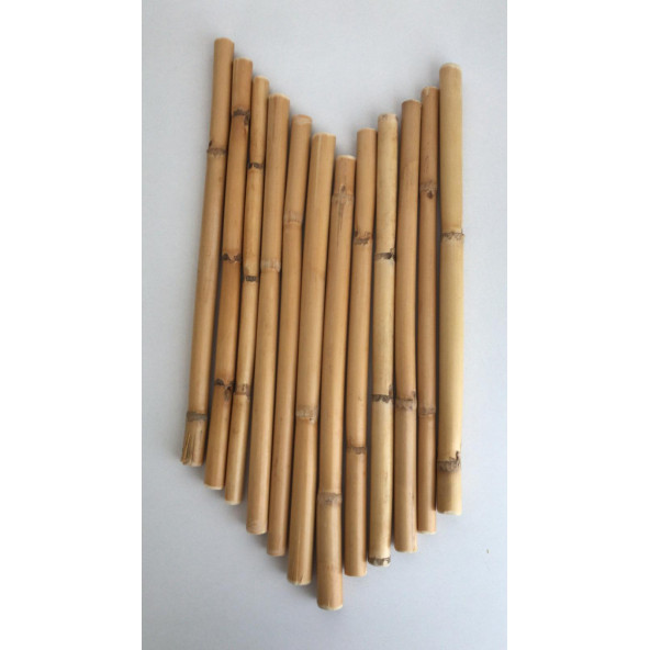 Bambu 10 Cm 12 li Paket - Resim 5