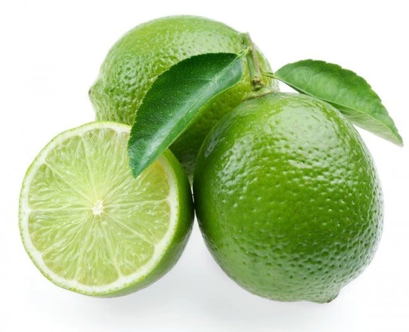 5 Yaş Aşılı Dikensiz Mexican Lime Limon Fidanı, Torbada ürün görseli 1