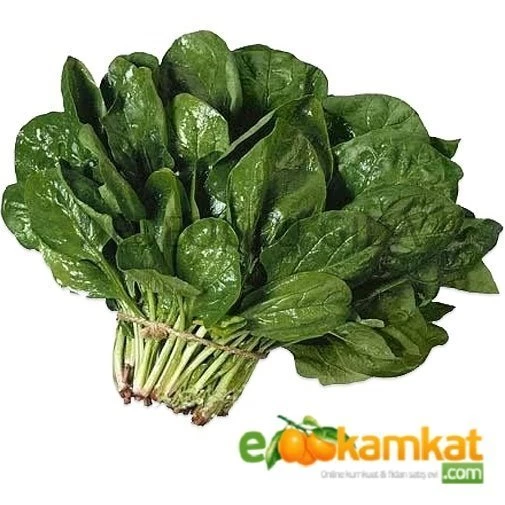 Ispanak Tohumu 25 gr Paket ürün görseli 1
