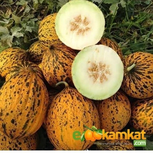 Kırkağaç Kavunu Tohumu 25 gr Orjinal Paket ürün görseli 1