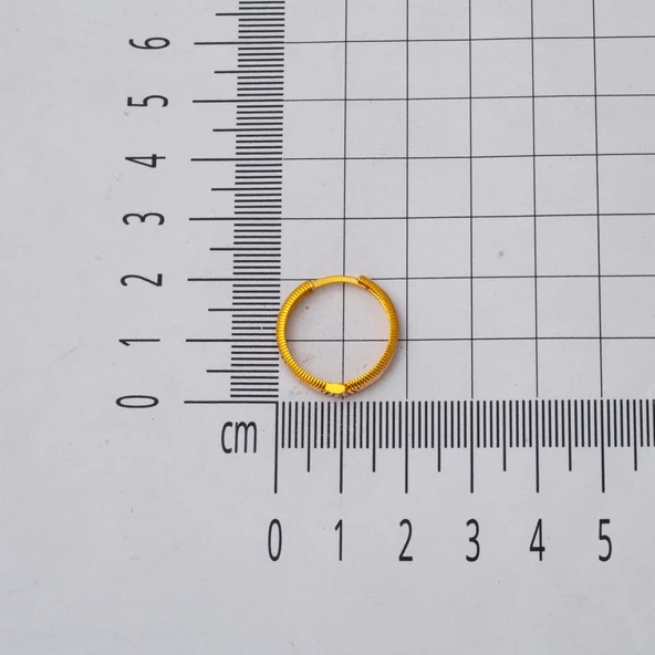 Ajda 14 Ayar Halka Altın Küpe 2 cm. Çaplı - Resim 4