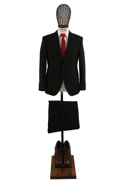 Takım Elbise Regular Fit ürün görseli 1
