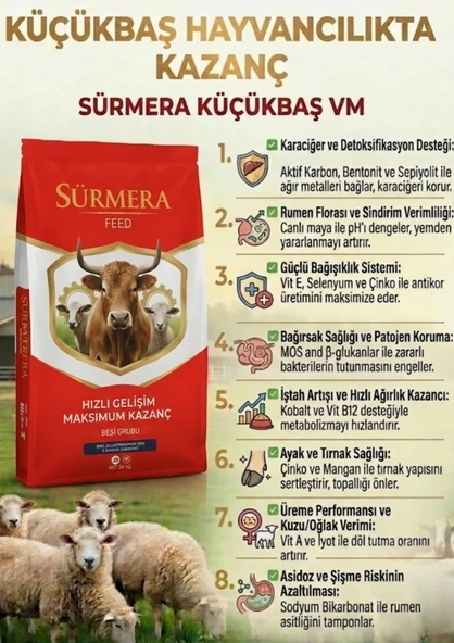 Buffer - Vitamin -Tırnak sertleştirici - Premiks - Resim 4