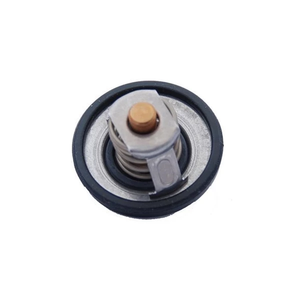 Fusion Termostat (2002-2011) 1.6, 1.4 L DURATEC 4M5G8575ZB ürün görseli 1