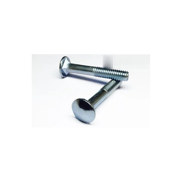 Kasa Civata 5/16x50 - 10 Adet ürün görseli 1