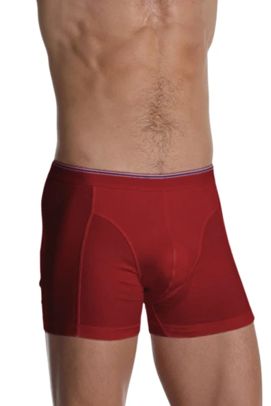 Çift Kaplan 889 Erkek Elastanlı Boxer - Resim 2