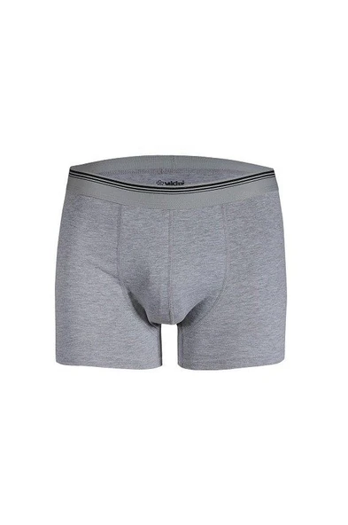 Yıldız 367 Gri Formen Likralı Boxer ürün görseli 1