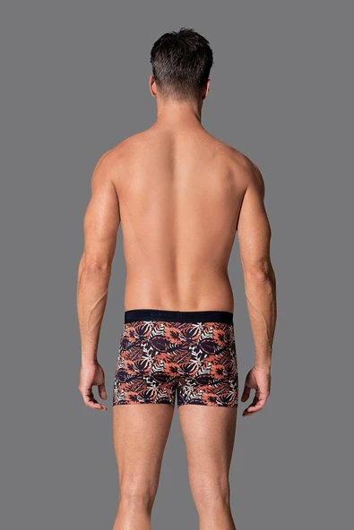 Eros 019 Erkek Compact Yaprak Boxer - Resim 3