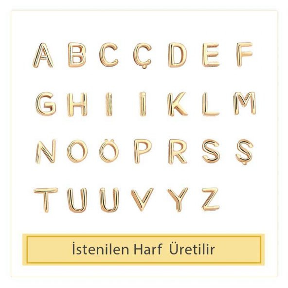 14 Ayar Altın R Harfli Kolye - Resim 3
