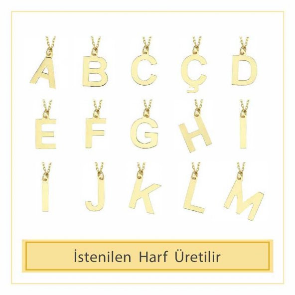 14 Ayar Altın N Harfli Kolye - Resim 3