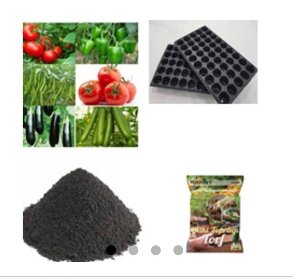 Domates + Salata + Biber + Patlıcan + (60 Adet Tohum) Toprak + Gübre + Viyol ürün görseli 1