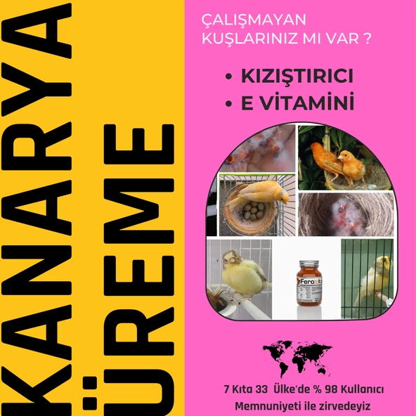 FEROXİT  KANARYA Kızıştırıcı ve Üreme Arttırıcı Karışım ürün görseli 1