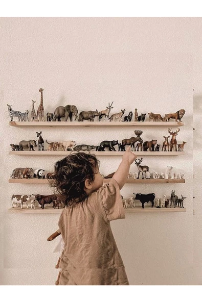 Zoo Doğal Masif Ahşap Montessori Raf ürün görseli 1