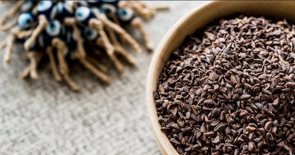 Üzerlik Tohumu 500 gr Saf Doğal Organik ürün görseli 1