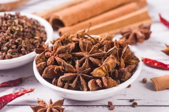 Yıldız Anason 100 gr Doğal Organik ürün görseli 1