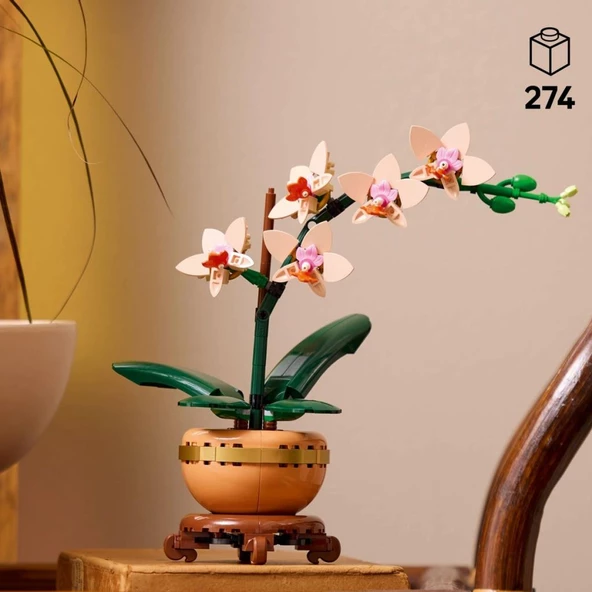PTTAVM: LEGO 10343 Botanicals Mini Orkide