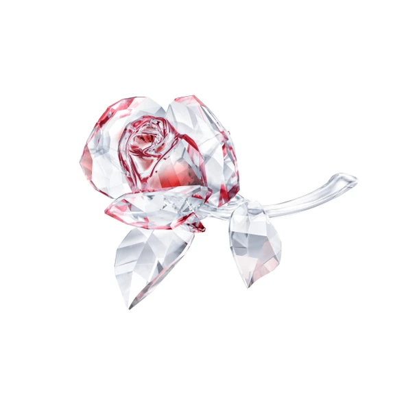 5428561 Swarovski Biblo Blossoming Rose, Red ürün görseli 1