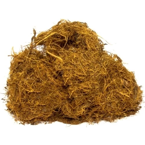 Meyan Kökü Lif 50 gr, Derya Eren - Resim 2