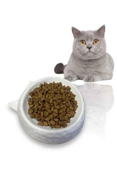vet advice Kedi Köpek Kulak Figürlü Seramik Mama Kabı beyaz ürün görseli 1