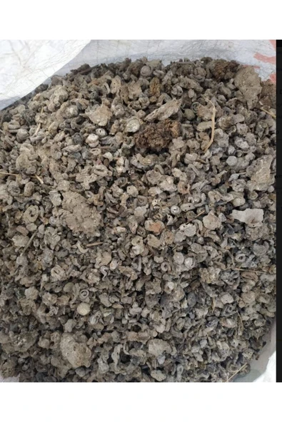 galaxyTicaret Güvercin Gübresi Doğal 5litre Organik Güvercin Gübresi Doğal Gübre 5litre ürün görseli 1