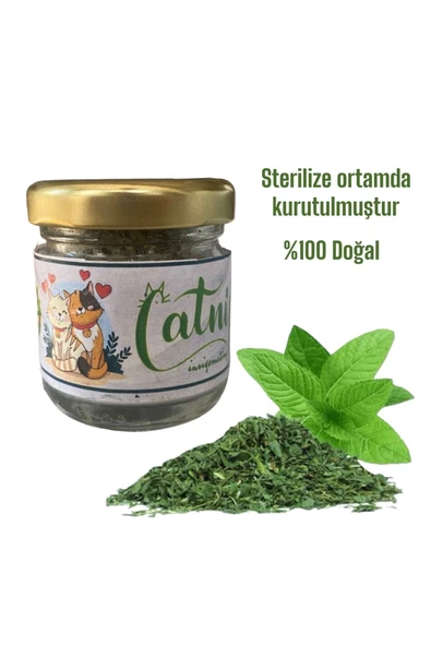 vet advice Catnip Kedi Otu Kurutulmuş %100 Doğal kedi sakinleştirici ürün görseli 1
