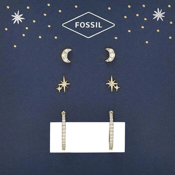 Fossil JGFTSET1050 Kadın Küpe Seti - Resim 2