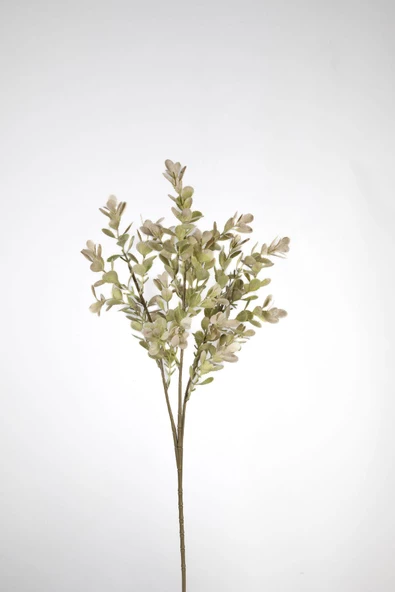 Çinpa Dal Çiçek 62 Cm 0106314 ürün görseli 1
