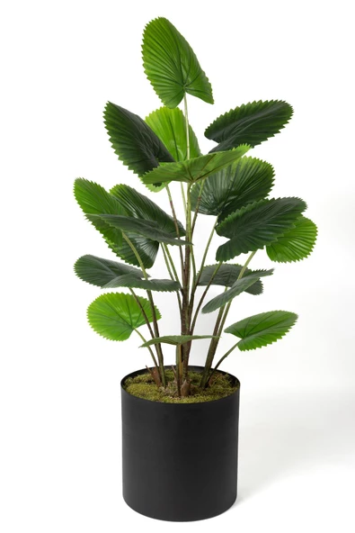 Çinpa Cırcular Palm 120 Cm Yapay Ağaç 0103622 ürün görseli 1
