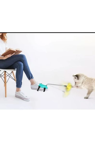 FABYAN Kedi Köpek Ayak Oltası Oyuncak ürün görseli 1