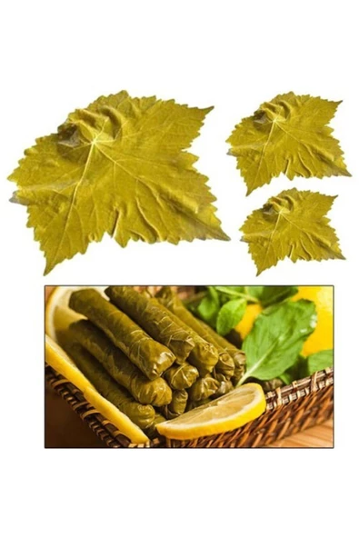 İpek Naturel Tokat Erbaa Asma Bağ Yaprağı Vakum (salamura Yaprak) 3 Kg ürün görseli 1